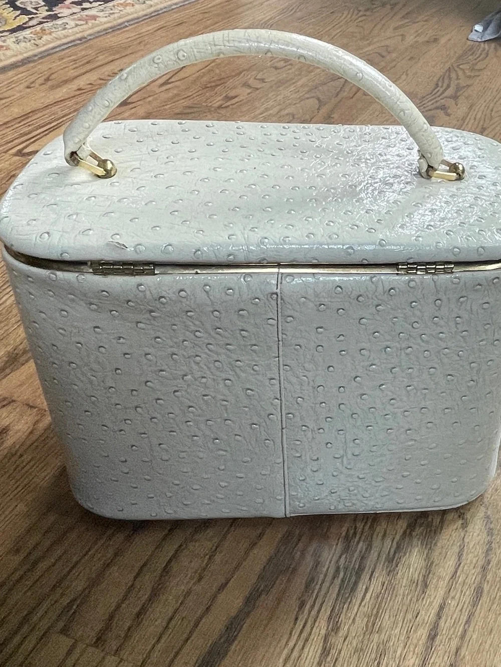 Vintage Celebrity New York Train Make Up Case Ostrich Embossed